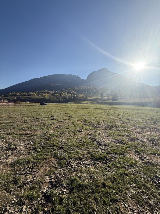 Vand teren zona Plaiu foi Zarnesti