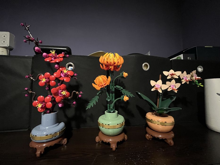 Конструктори Lego Botanicals