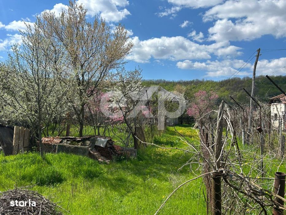 Casa la tara cu teren 3940 mp si livada – zona linistita