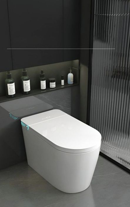 Умный Смарт Унитаз