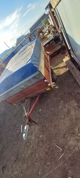 Кой токтыга ауыстрам немесе сатам