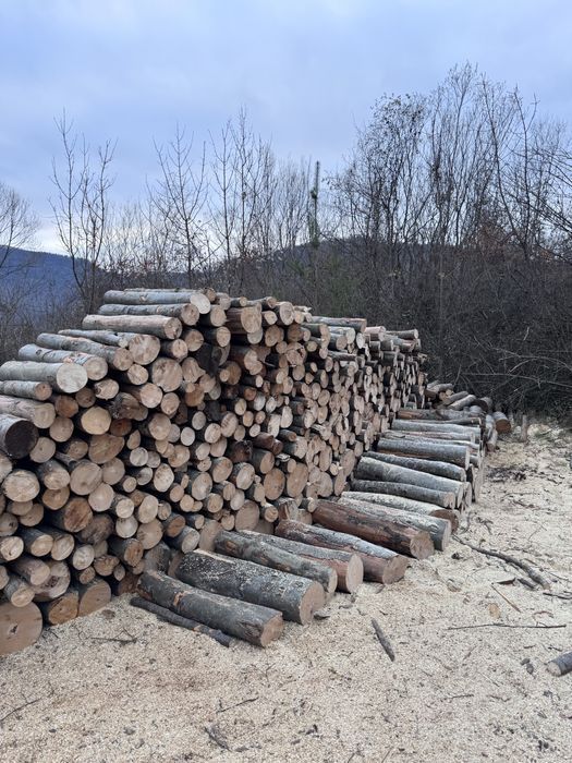 Lemn foc esenta FAG,de vanzare.