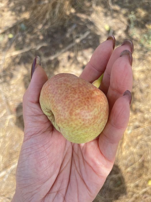 Продам участок земли