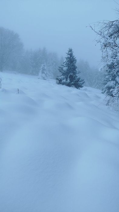 Teren PREMIUM 3000 mp Râușor – lângă pârtia de schi | Investiție turistică de top