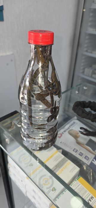 Зулук сотилади Самарканд шахар