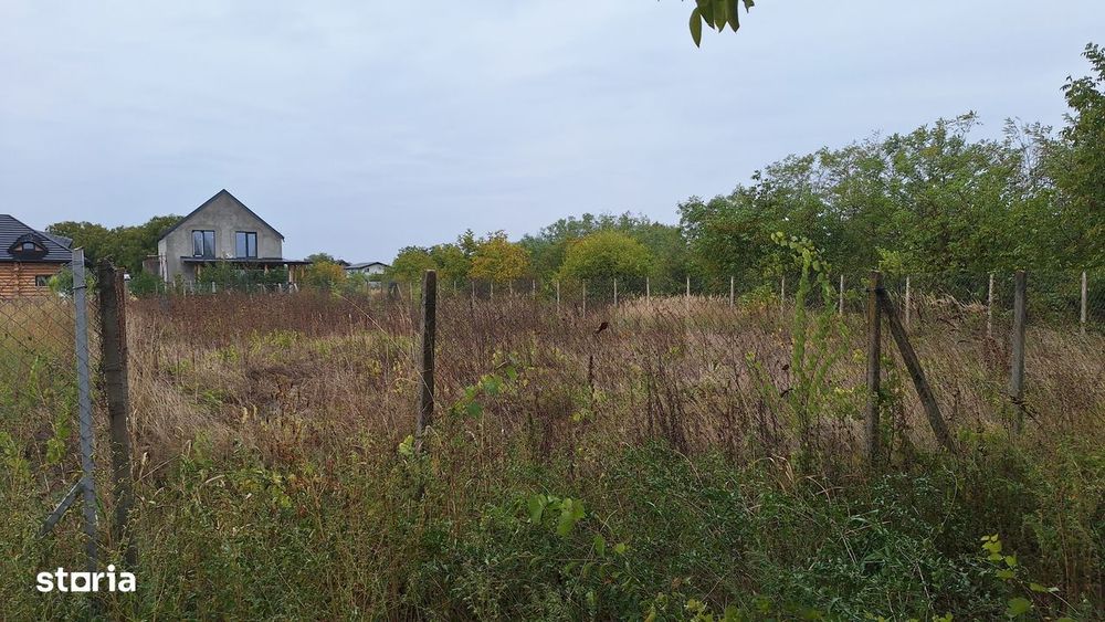 Vand teren 750 mp in localitatea Branesti Ilfov