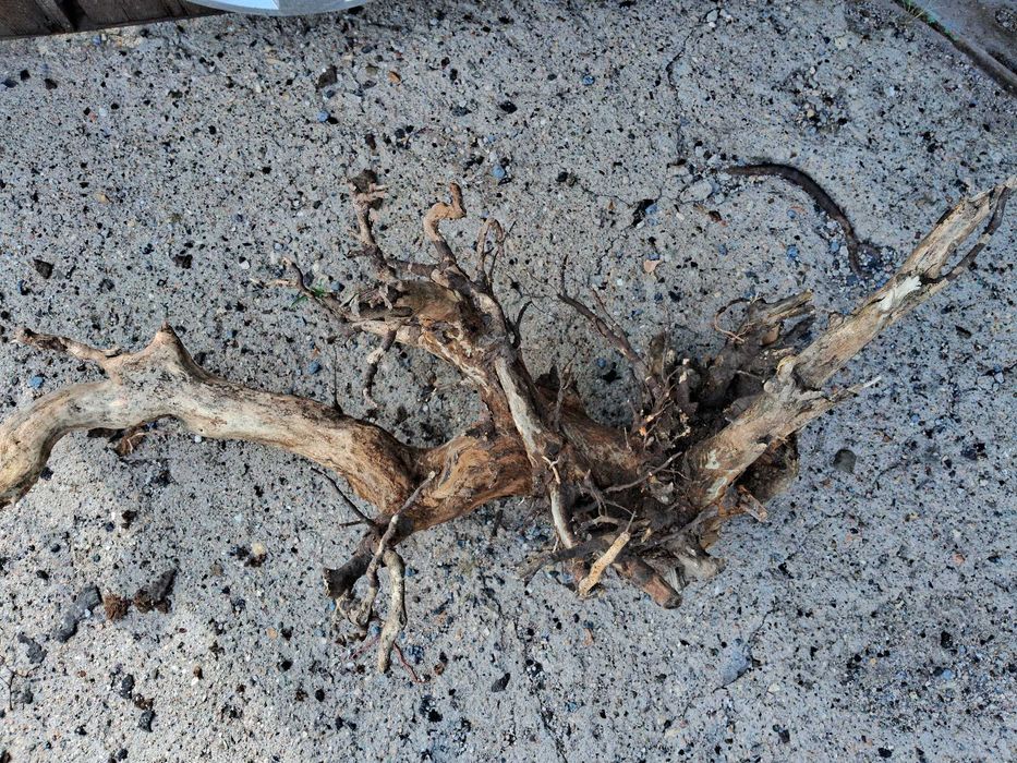 Коряга в аквариум