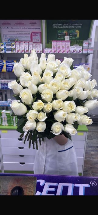 51 белые розы свежие