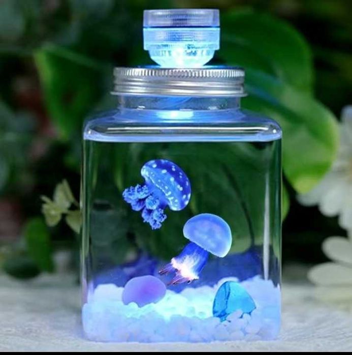 Медуза с мини аквариумом