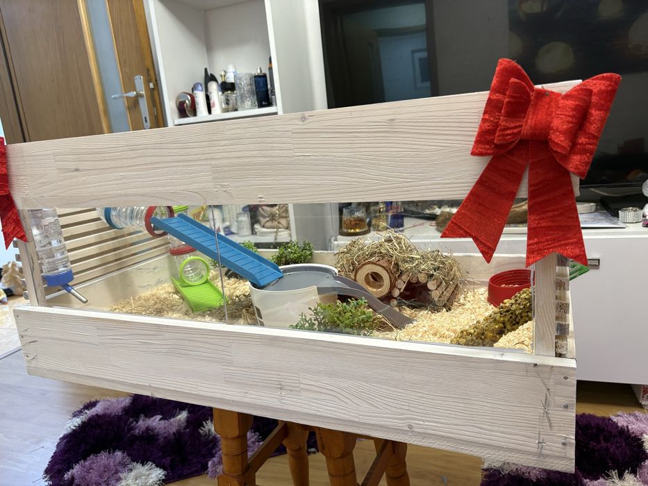 Cusca pentru animalutul tau de companie(razatoare)