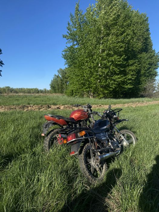 Racer fighter 250 на бодром ходу