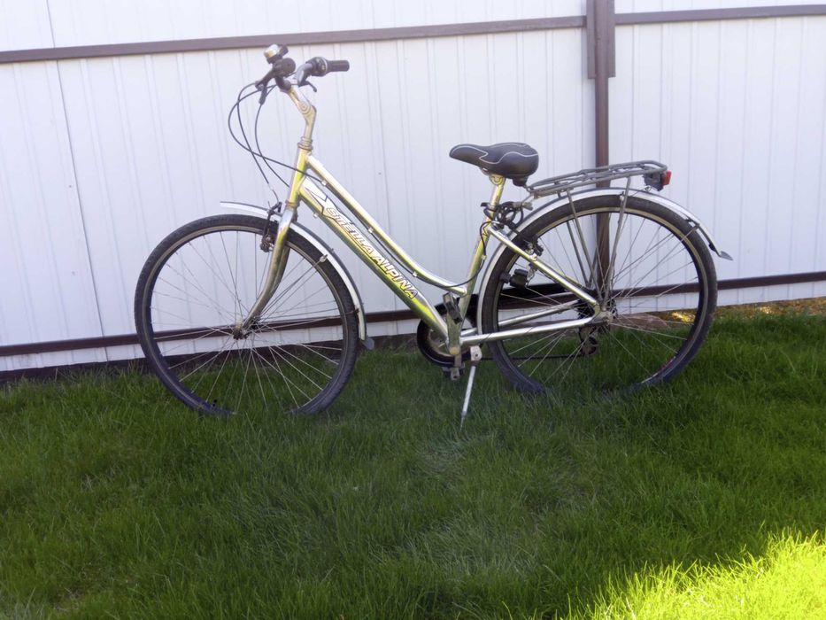 Bicicleta stela alpina