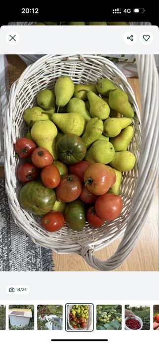 Продам дачу , земельный участок 9 соток