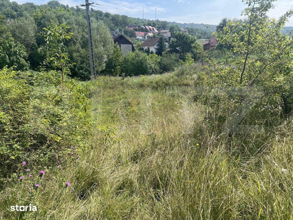 Teren 1400 mp, intravilan – Viile Dealul Mic, zona linistita