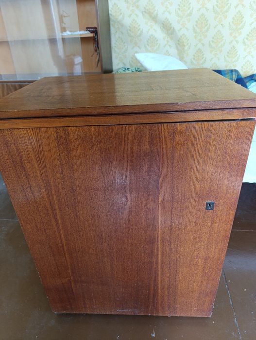 Крачна шевна машина