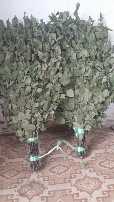 Березовые веники