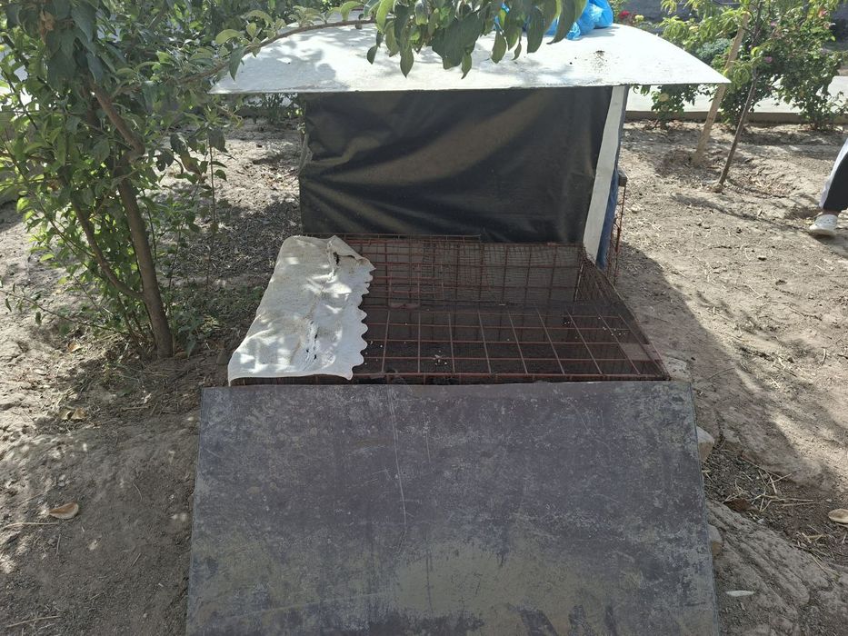 Товуқ уйчаси сотилади