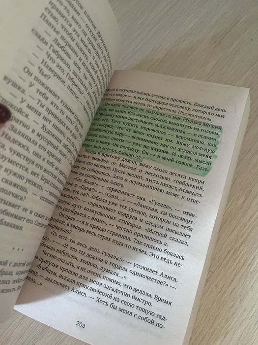 Книга поклонник Анна джейн