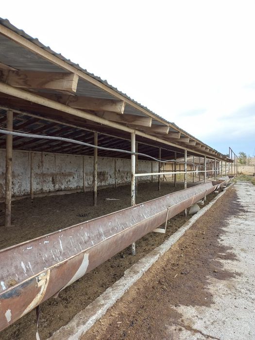 Ферма, для сельхоза и животноводничесва