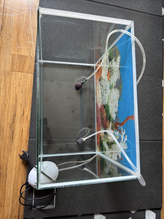 Аквариум для дома