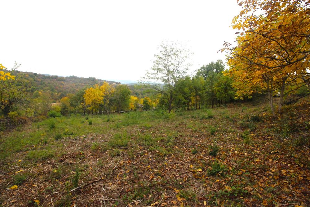 Продава се Парцел в с. Костенковци, Област Габрово - 4448 кв.м за 3 €/кв.м - Снимка #4