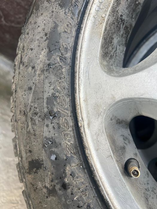 Mersedes benz лупарик