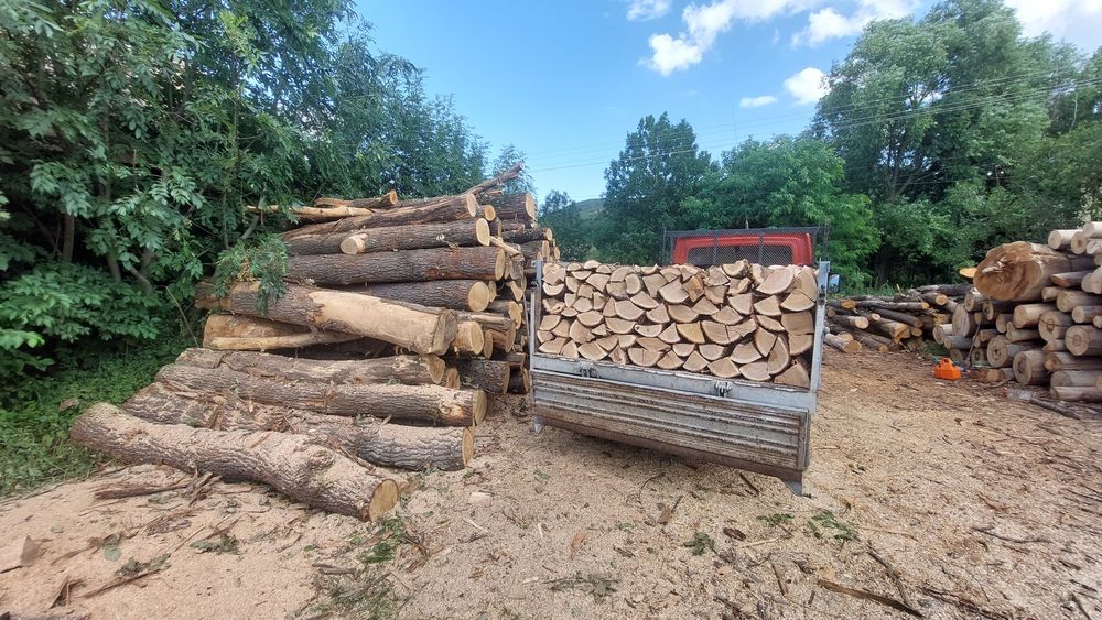 Lemn de foc taiat și crepat