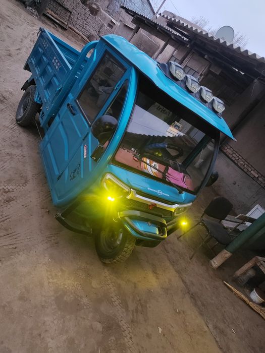 Электрон муравей