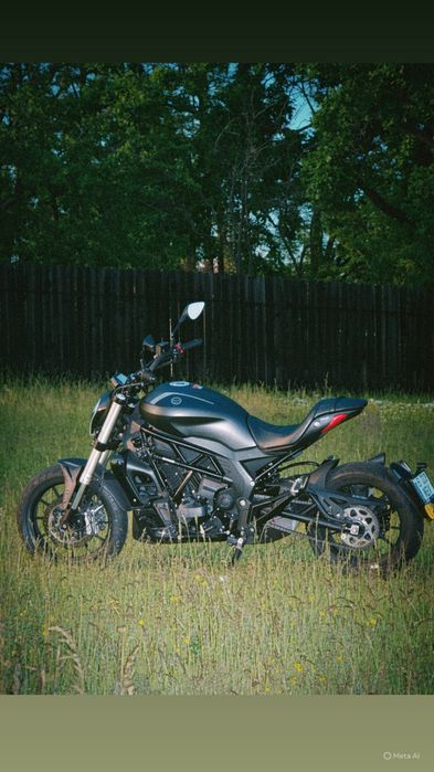 Benelli 502c  an 2019