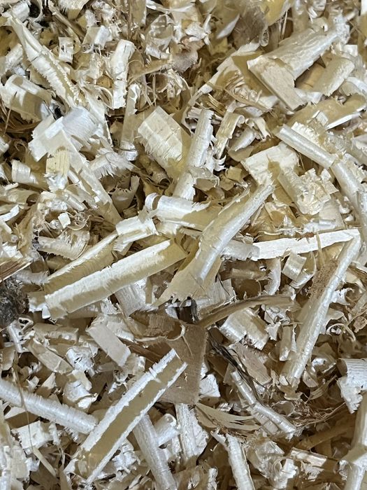 Обезпрашен талаш - бали