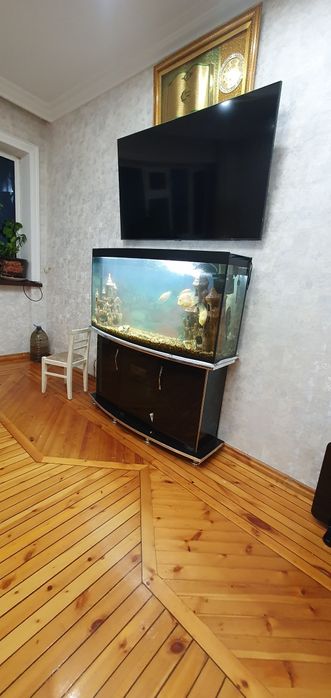 Прадайотся аквариум с рибами  размер 120×60×28 канплекте патставка