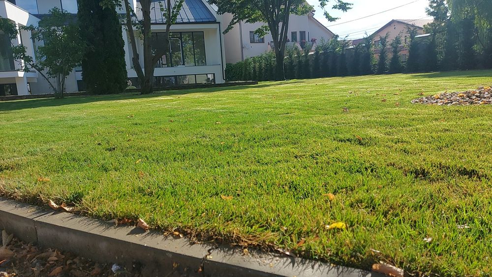 Amenajare gradina spatii verzi