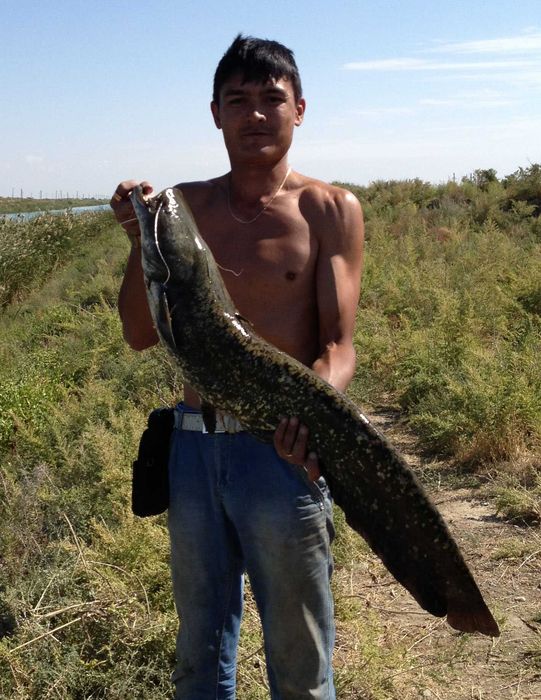 Рыболовный гид по рекам и озерам Узбекистана