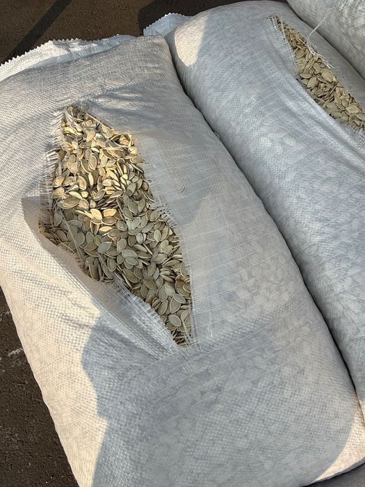 Semințe de Bostan, dovleac