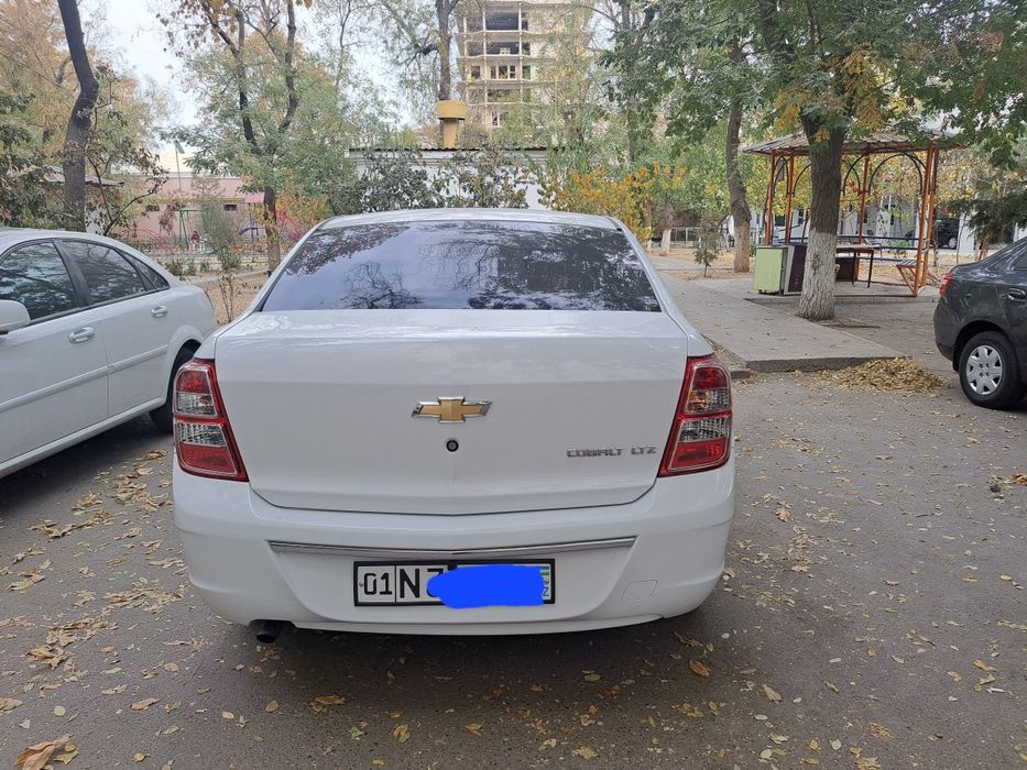 Кобольт 2023 йил 55000 краска тоза сотилади