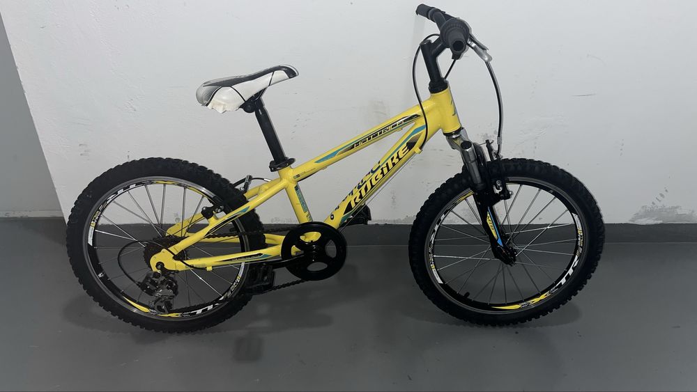 Bicicleta copii 5-10 ani, roti 20 inch, Robike Hat Trick, cadru aluminiu