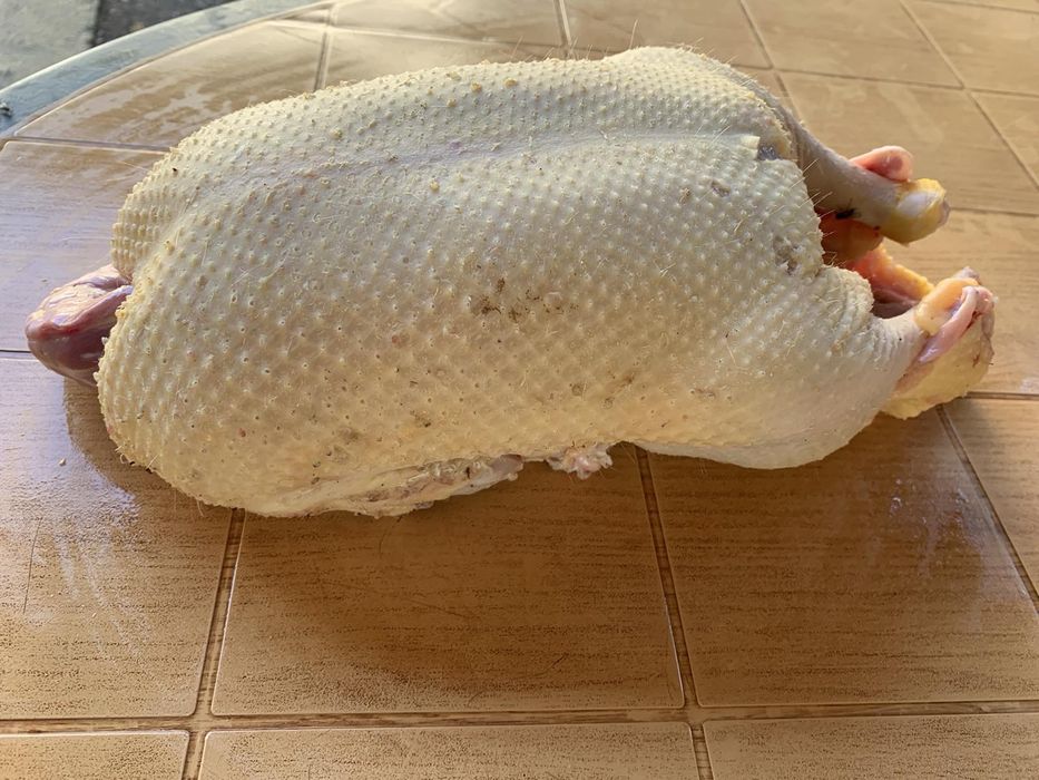 Домашна Еко Патица Патка