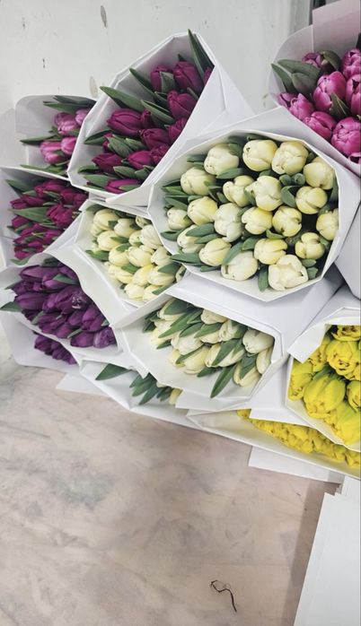 Тюльпаны 700-800 тнг