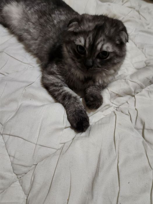 Yupqa qizlarning mushtlash fotosuratlari