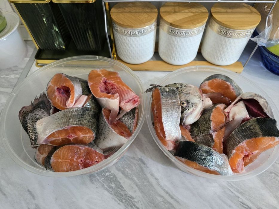 Риба Фарель свежая с бесплатной доставкой по Ташкенту. Сырая красная и