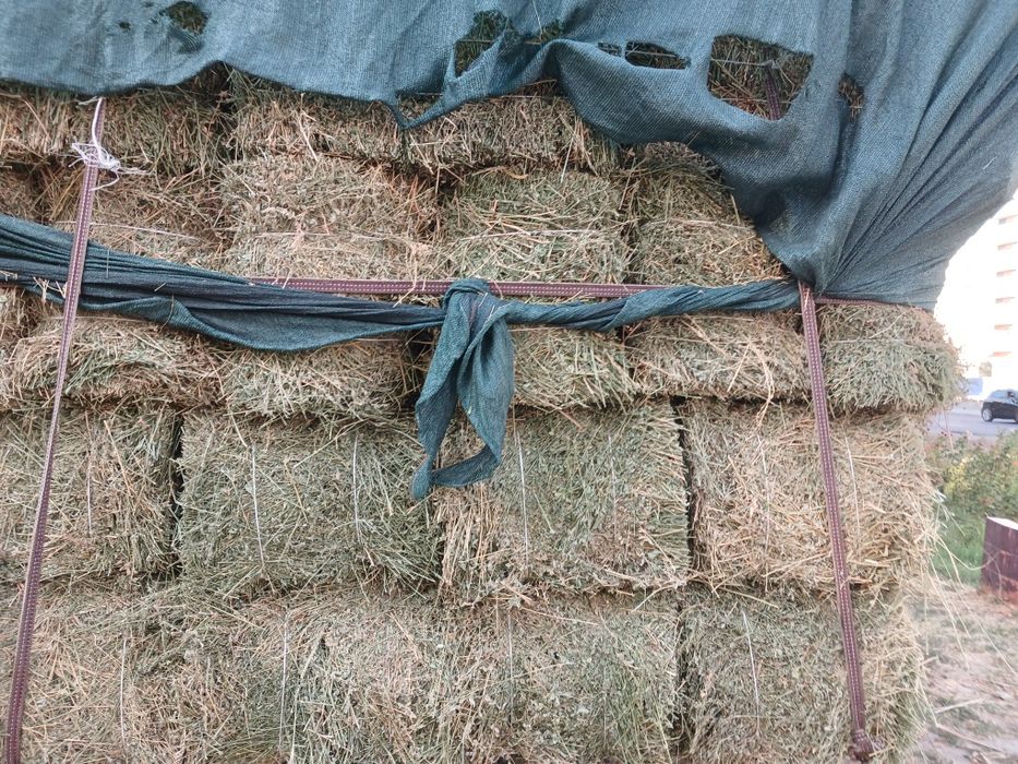 Somon press bor sotiladi