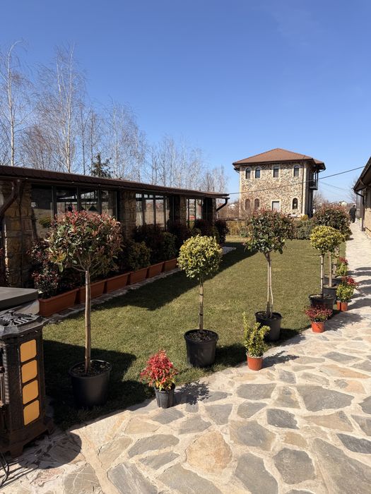 Amenajez spatiii verzi de la A la Z