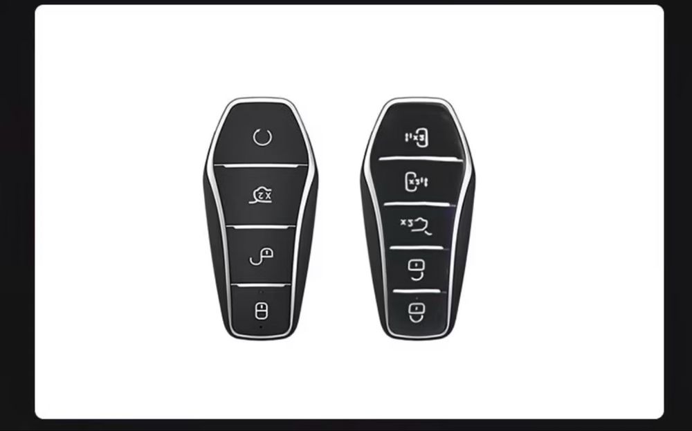 Чехол для ключа BYD
