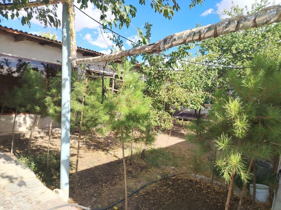 Дача сотилади Оазисда 10 соток