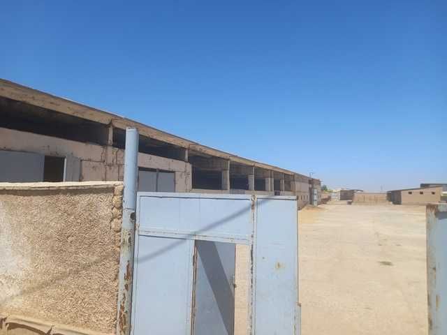 Noturar joy (binosi)