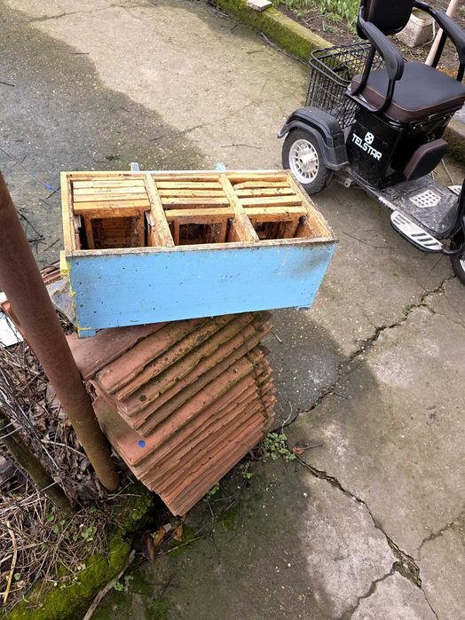 Пчелни рамки обтелени и оплодни сандъчета