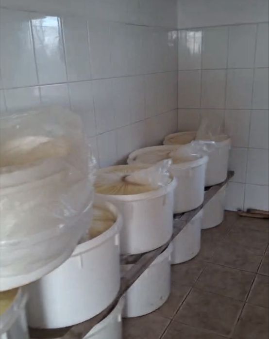 Btanza maturata din lapte de iaie 100%