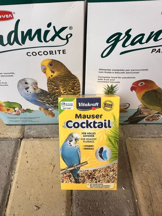 Colivie nimfe sau perusi