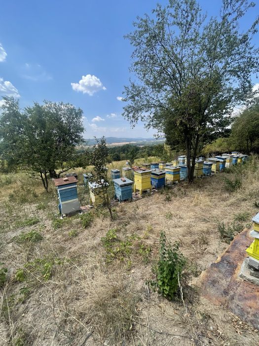 Продава се Къща в София, Студентски град - 45 кв.м за 623 €/кв.м - Снимка #1