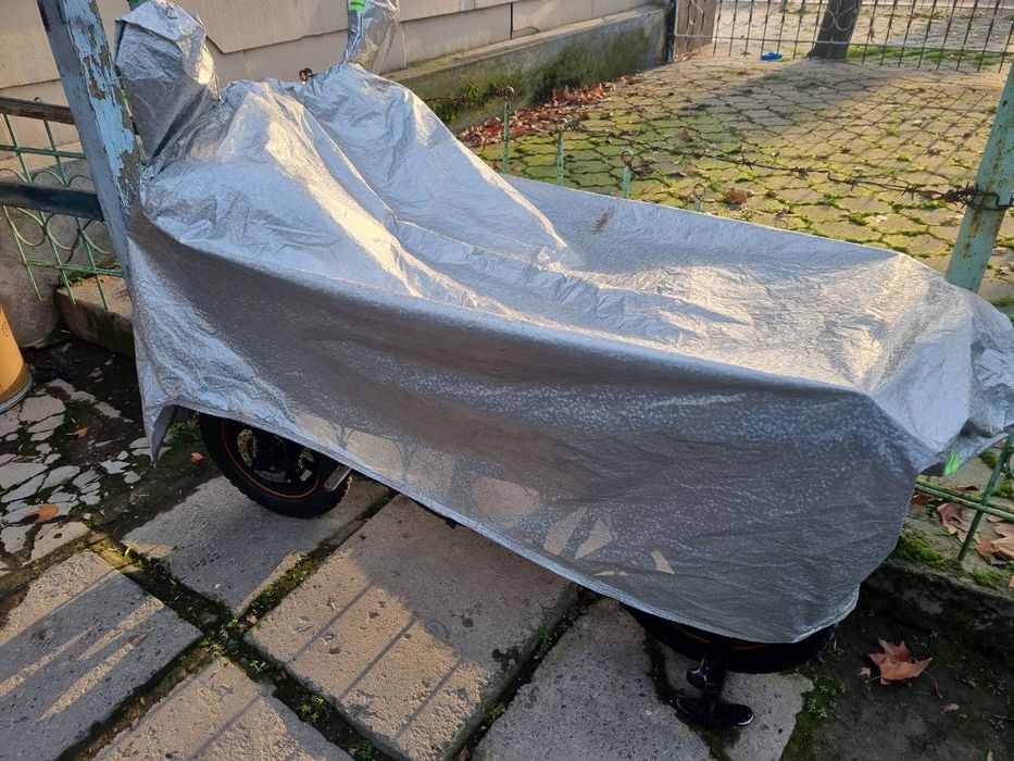 Електр велик Dashrider